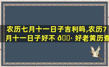 农历七月十一日子吉利吗,农历7月十一日子好不 🌷 好老黄历查 🕊 询